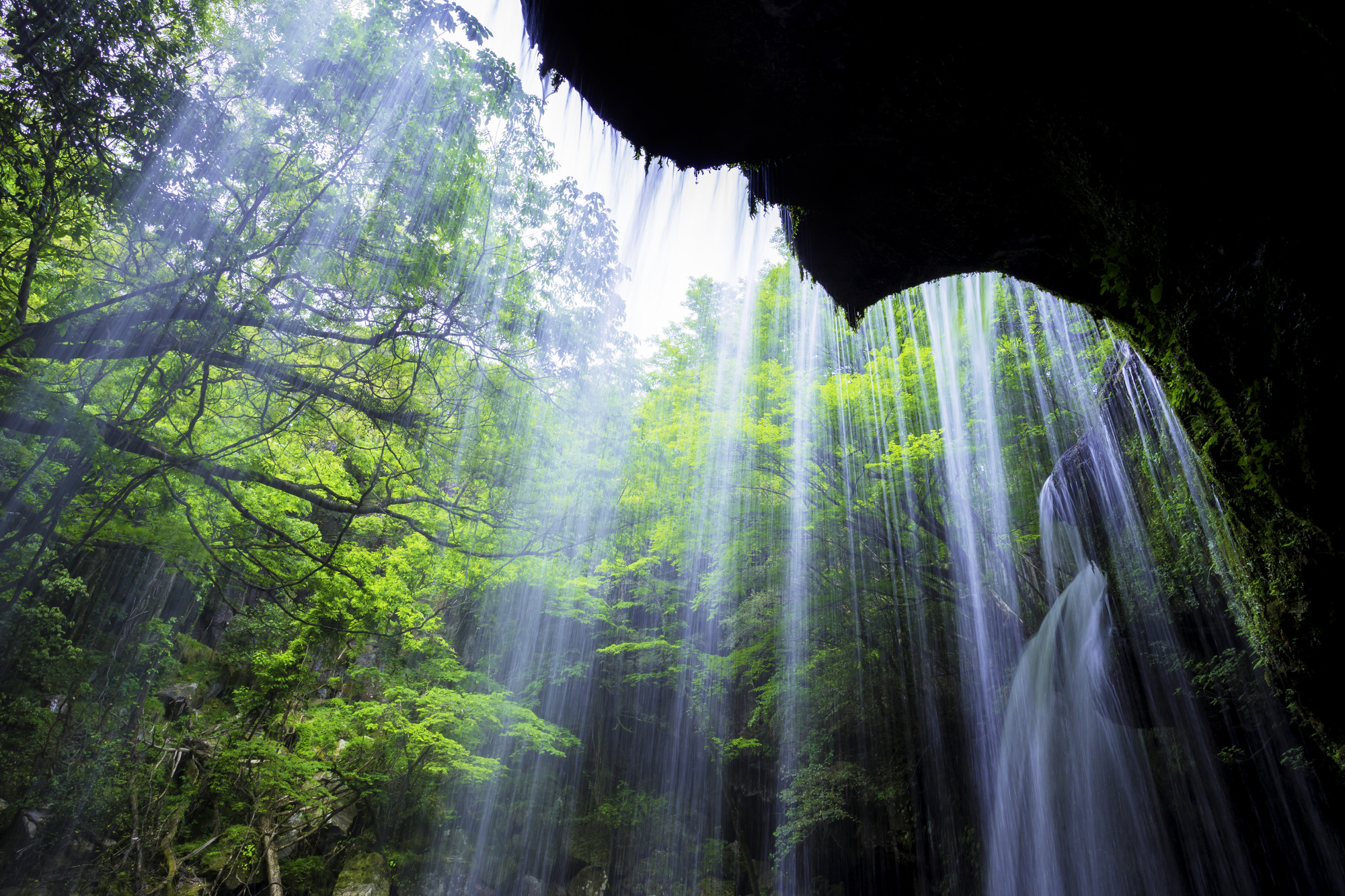 pixta_30900802_m.jpg